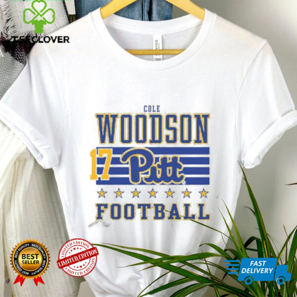 Cole Woodson Rally Mens Ash Pitt Panthers NIL Striped Player T Shirt