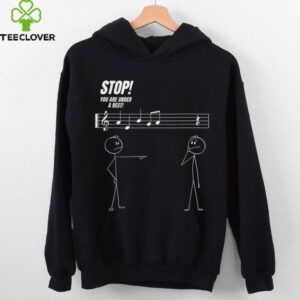 Stop You'Re Under A Rest Stickman Meme Music Novelty Shirt