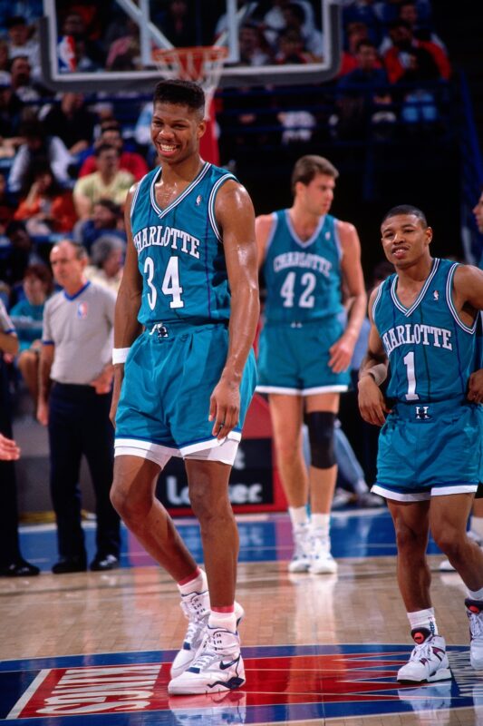 hornets10