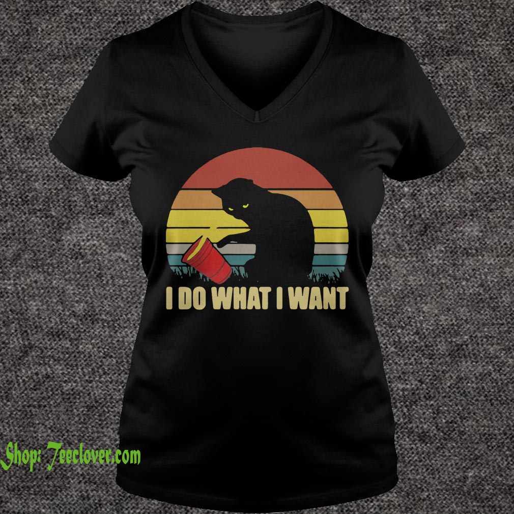 Cat kitten I do what I want vintage retro