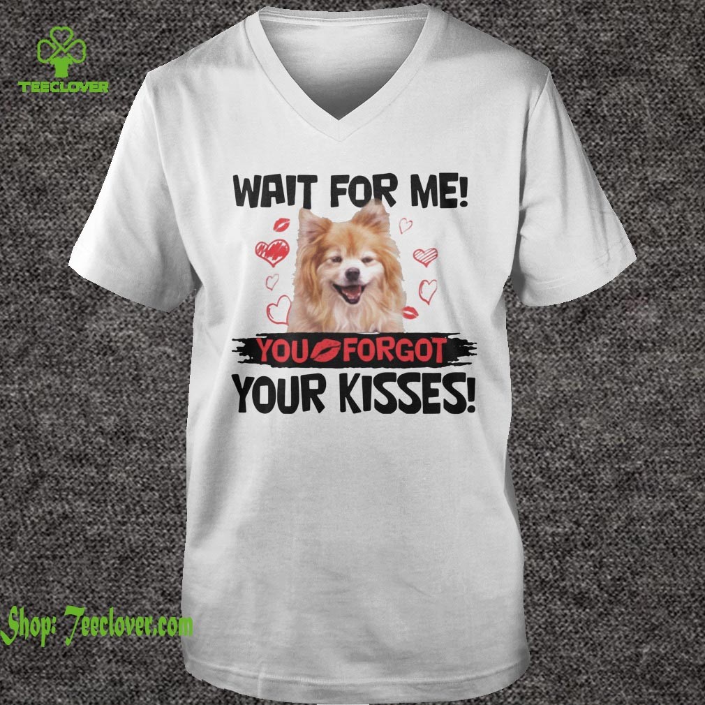 Cute Pomeranian Wait For Me You Forgot Your Kisses