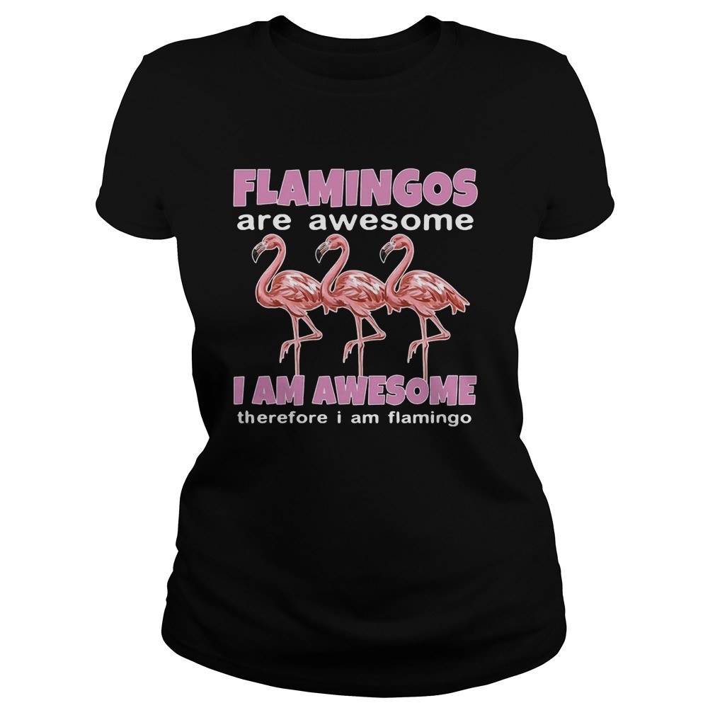 Flamingos Are Awesome I Am Awesome Therefore I Am Flamingo shirt 3