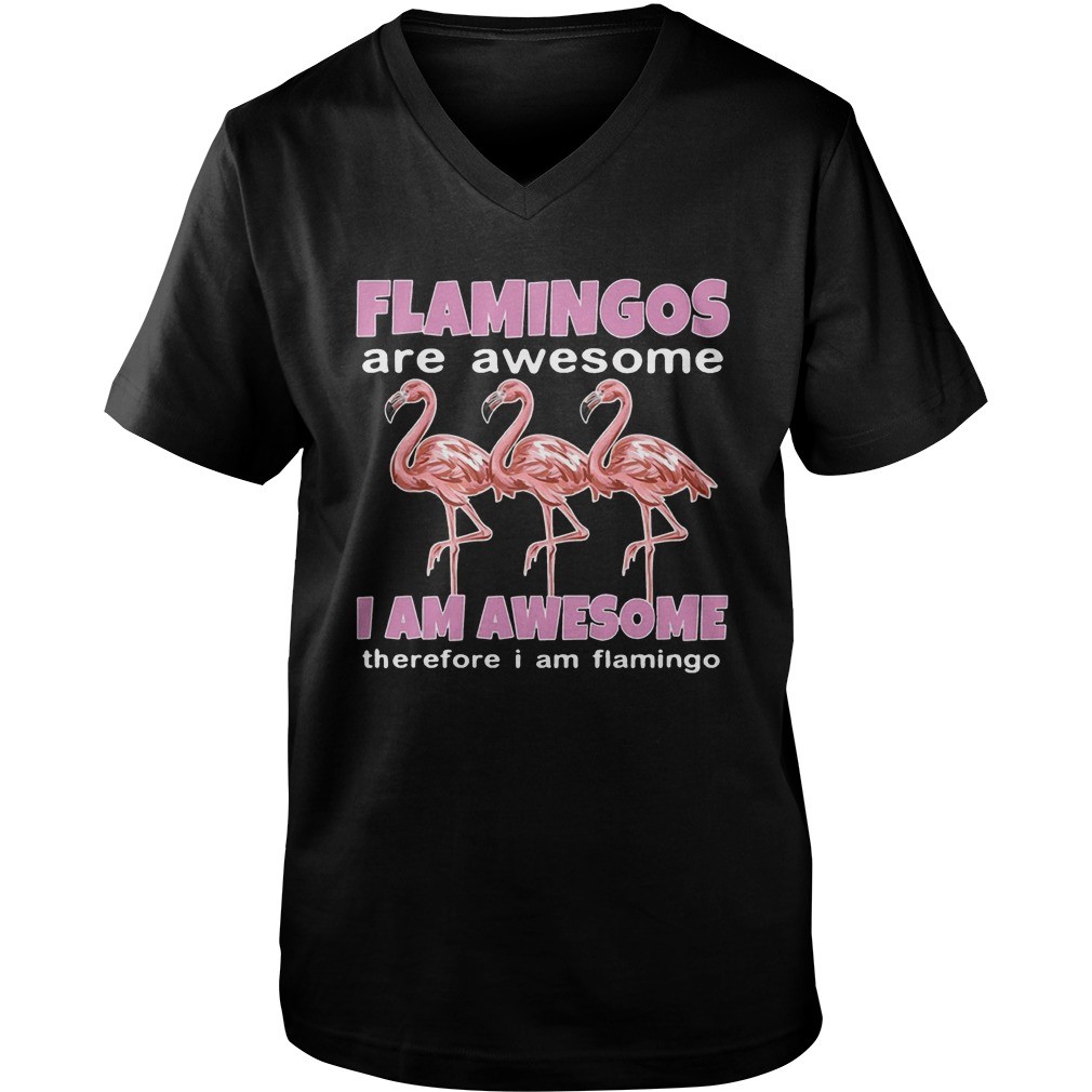 Flamingos Are Awesome I Am Awesome Therefore I Am Flamingo shirt 4