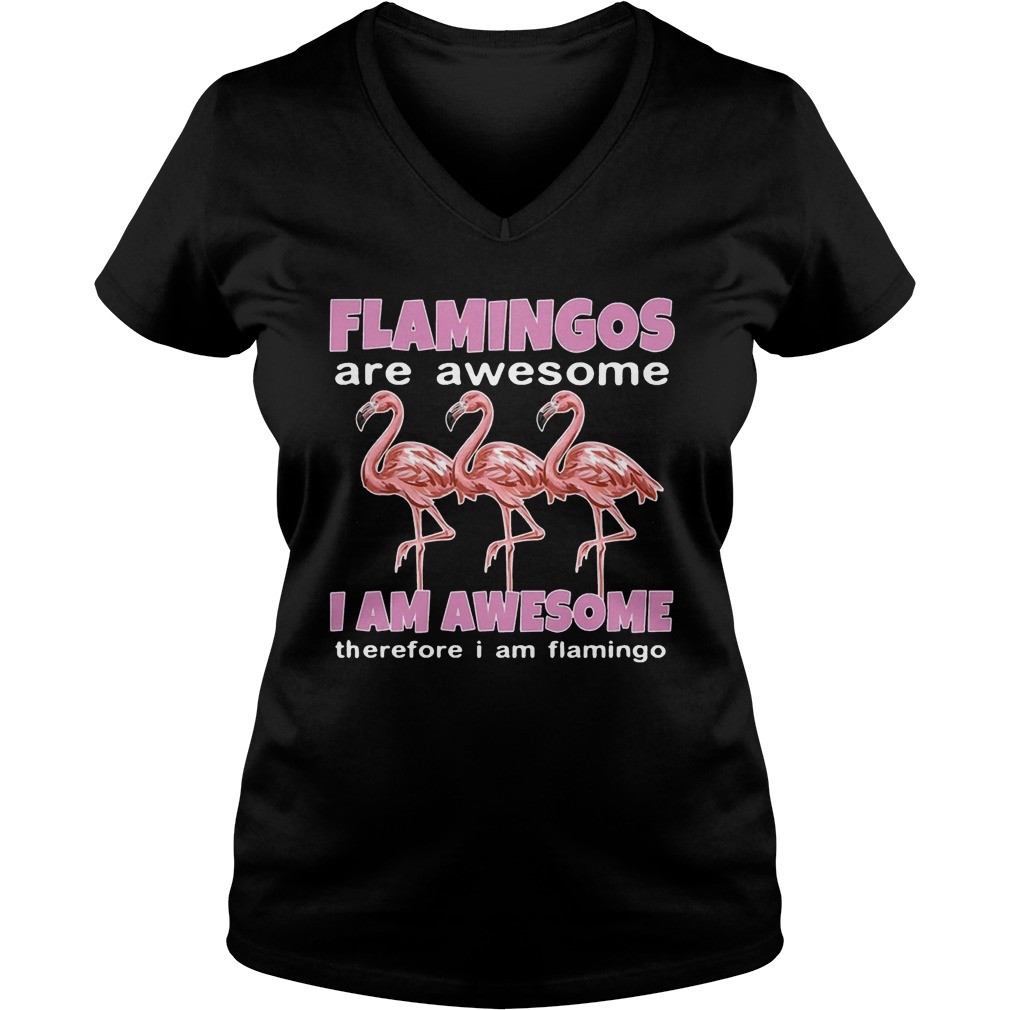 Flamingos Are Awesome I Am Awesome Therefore I Am Flamingo shirt 6