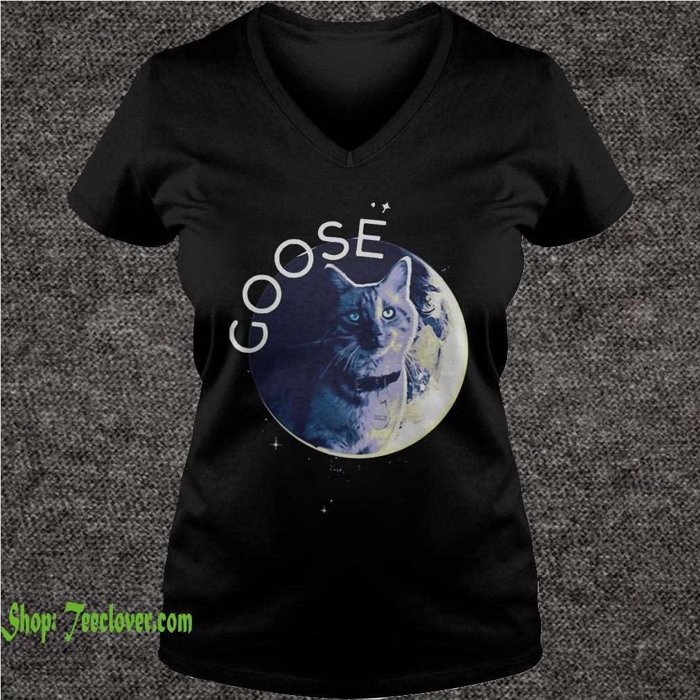 Flerken Goose the Cat in the moon Ladies T Shirt 1