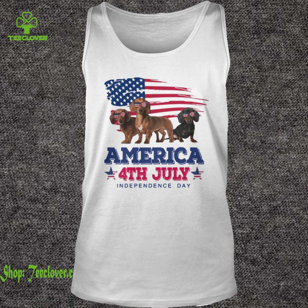 Cool Dachshund America 4th July Independence Day T-