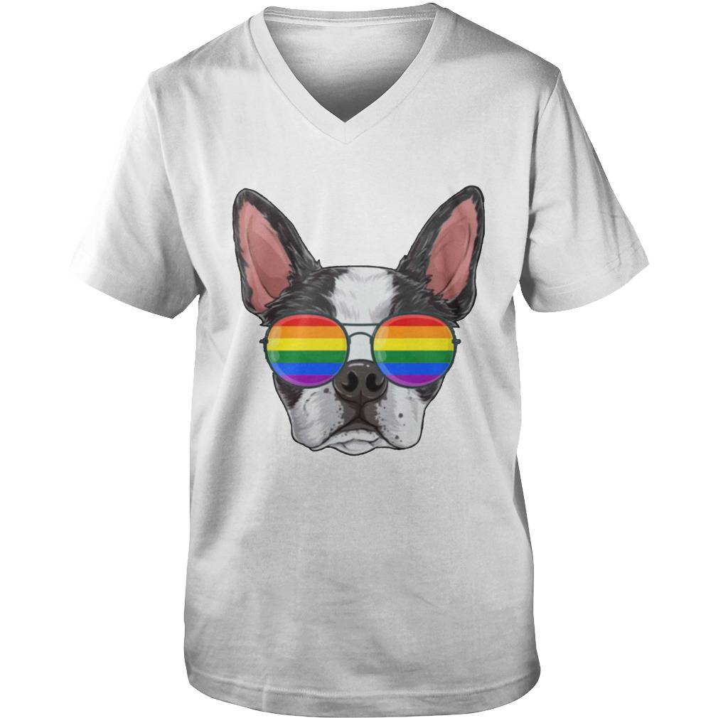 LGBT Boston Terrier Gay Pride Flag Sunglasses