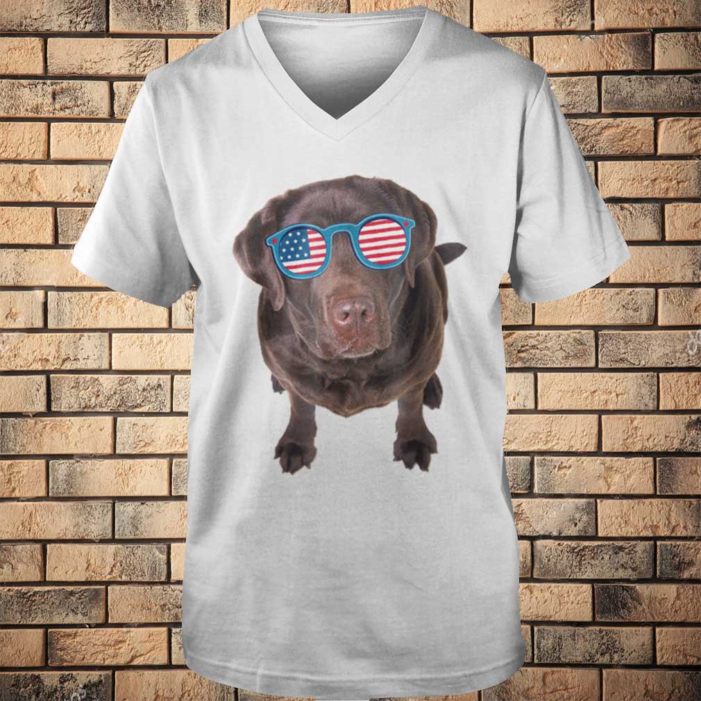 Premium Chocolate Lab American Flag Dog 4th Of July