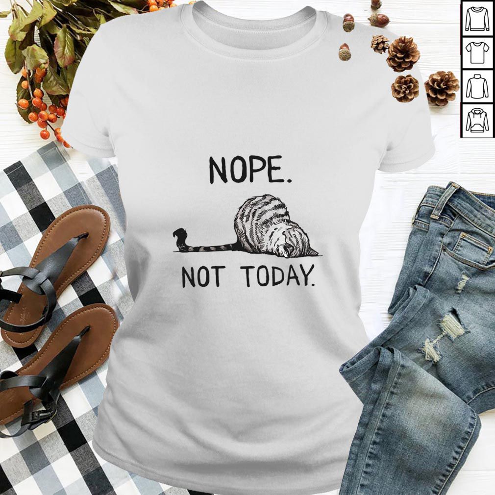 Cat lazy nope not today hoodie, sweater, longsleeve, shirt v-neck, t-shirt