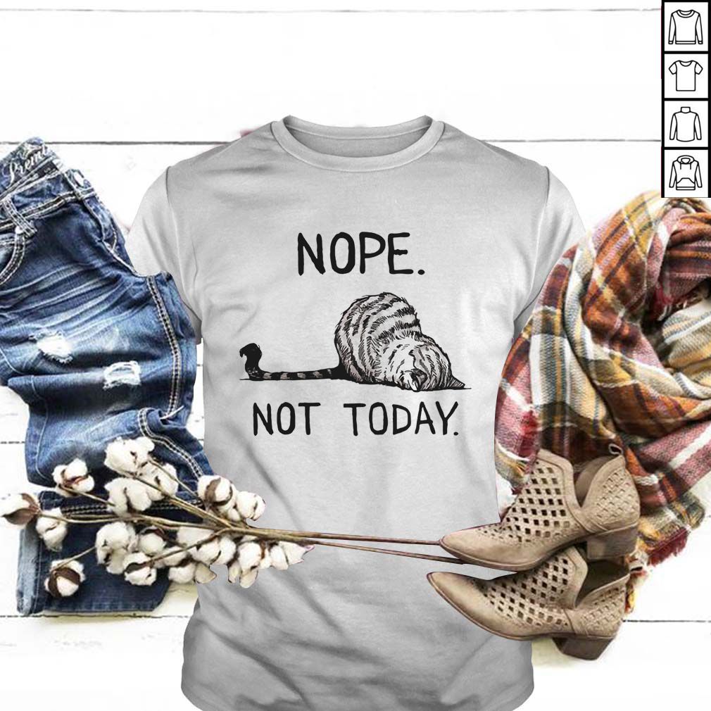 Cat lazy nope not today hoodie, sweater, longsleeve, shirt v-neck, t-shirt