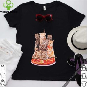 Cats sitting on pizza hoodie, sweater, longsleeve, shirt v-neck, t-shirt