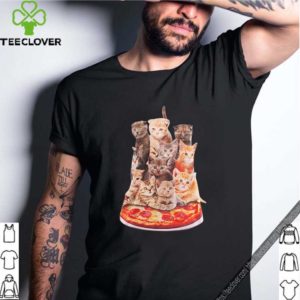 Cats sitting on pizza hoodie, sweater, longsleeve, shirt v-neck, t-shirt