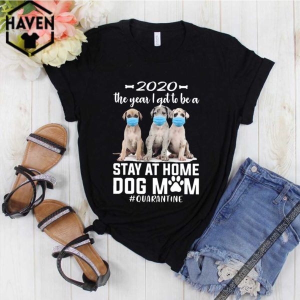 2020 The Year I Got To Be A Stay At Home Labrador Dog Mom Quarantine