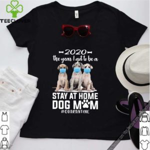 2020 The Year I Got To Be A Stay At Home Labrador Dog Mom Quarantine