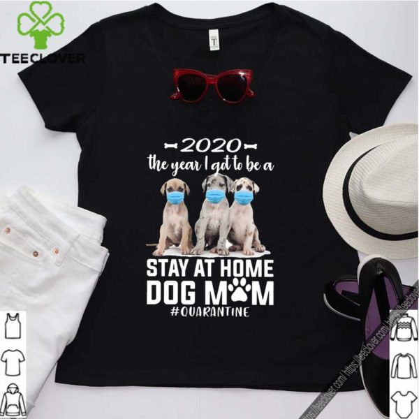 2020 The Year I Got To Be A Stay At Home Labrador Dog Mom Quarantine