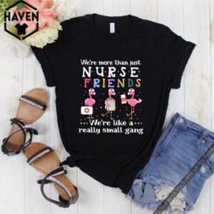 Flamingo we’re more than just nurse friends we’re like a really small gang