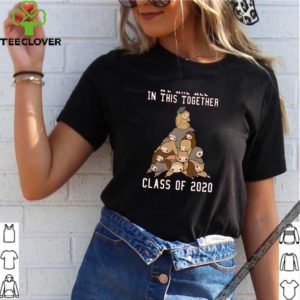 Nice We Are All In This Together Class Of 2020 Shirt