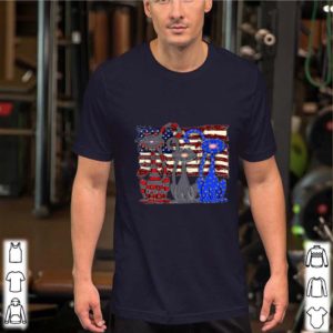 Cats Happy July 4th Firework American Flag shirt