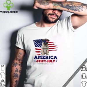 Pug America 4th Of July Independence Day Shirt