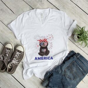 Firework Sloth American flag Independence Day shirt