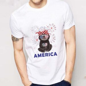 Firework Sloth American flag Independence Day shirt