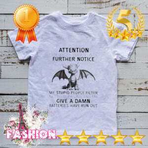 Dragon attention I am out of order until further notice hoodie, sweater, longsleeve, shirt v-neck, t-shirt 3