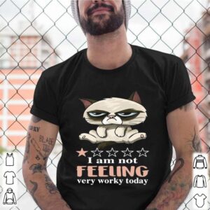 Cat Grumpy I Am Not Feeling Very Worky Today shirt