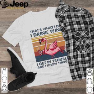 Flamingo That’s What I Do I Drink Wine I Get In Trouble And I Know Things