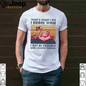 Flamingo That’s What I Do I Drink Wine I Get In Trouble And I Know Things Shirt