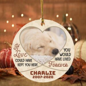 Customized Photo If Love Could Have Ornament