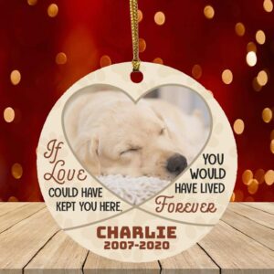 Customized Photo If Love Could Have Ornament