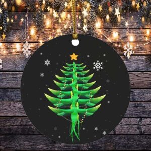 Hummingbird Christmas Lights Tree Circle Ornament – O Christmas Tree Hummingbird Christmas Lights Kee