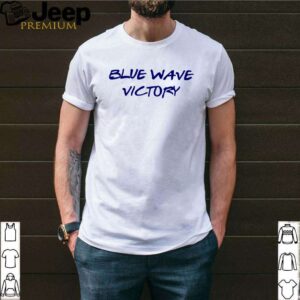 Joe Biden Blue Wave victory