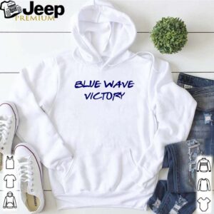 Joe Biden Blue Wave victory