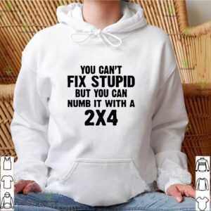 You Can’t Fix Stupid But You Can Numb It With A 2×4 Shirt