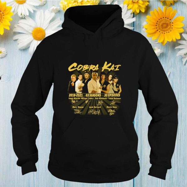 Cobra Kai 2018 2021 3 seasons 30 episodes signature hoodie, sweater, longsleeve, shirt v-neck, t-shirt