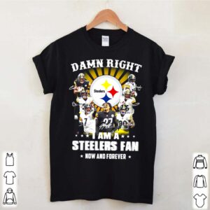 Damn Right I Am A Pittsburgh Steelers Fan Now And Forever Signatures hoodie, sweater, longsleeve, shirt v-neck, t-shirt 2 Shirt, hoodie, sweater, long sleeve and tank top