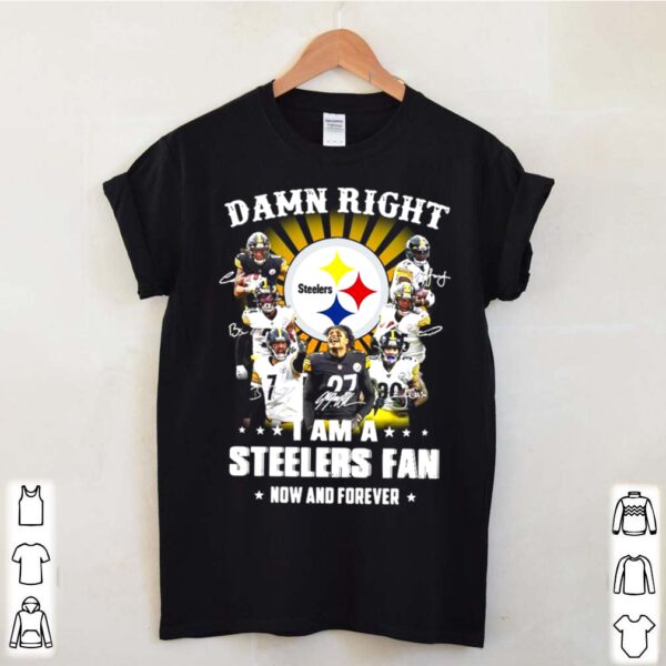 Damn Right I Am A Pittsburgh Steelers Fan Now And Forever Signatures hoodie, sweater, longsleeve, shirt v-neck, t-shirt