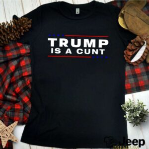 Donald Trump is a cunt hoodie, sweater, longsleeve, shirt v-neck, t-shirt