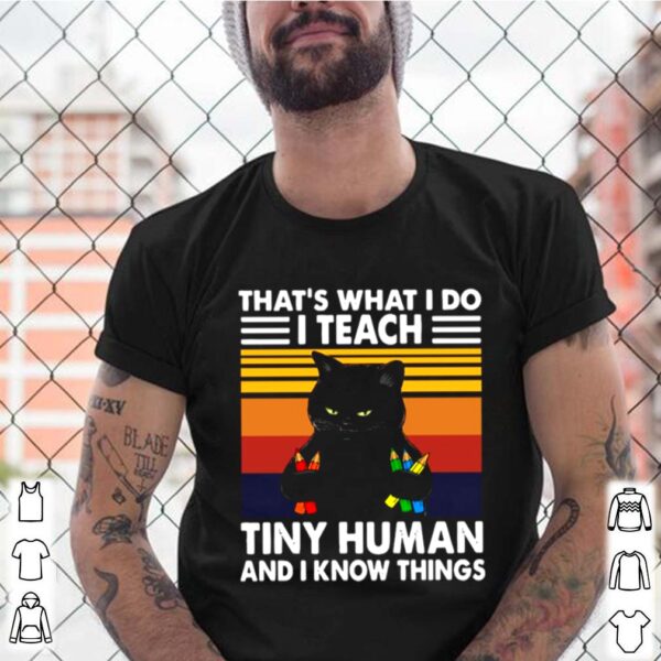 Thats What I Do I Teach Tiny Human And I Know Things Vintage hoodie, sweater, longsleeve, shirt v-neck, t-shirt