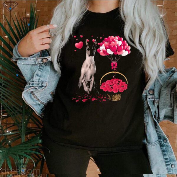 Valentine’s Gift Graphic Xoloitzcuintli Thoodie, sweater, longsleeve, shirt v-neck, t-shirts