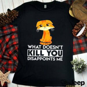 Cat What Doesnt Kill You Disappoints Me hoodie, sweater, longsleeve, shirt v-neck, t-shirt (3)