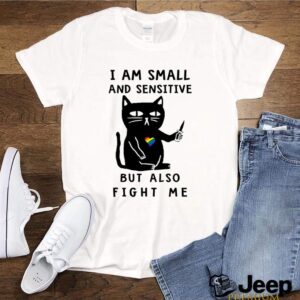 Black cat LGBT I am small and sensitive but also fight me hoodie, sweater, longsleeve, shirt v-neck, t-shirt 3