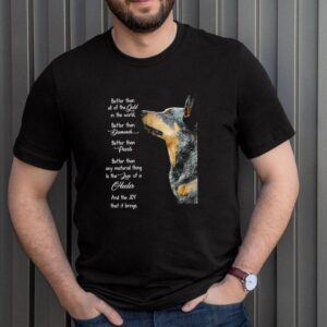 Heeler better than all of the gold in the world better than diamonds hoodie, sweater, longsleeve, shirt v-neck, t-shirt