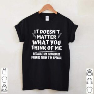 It doesnt matter what you think of me because my imaginary friends think Im special hoodie, sweater, longsleeve, shirt v-neck, t-shirt 3