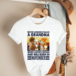 Never Underestimate A Grandma Who Love Dogs And Was Born In November Vintage hoodie, sweater, longsleeve, shirt v-neck, t-shirt