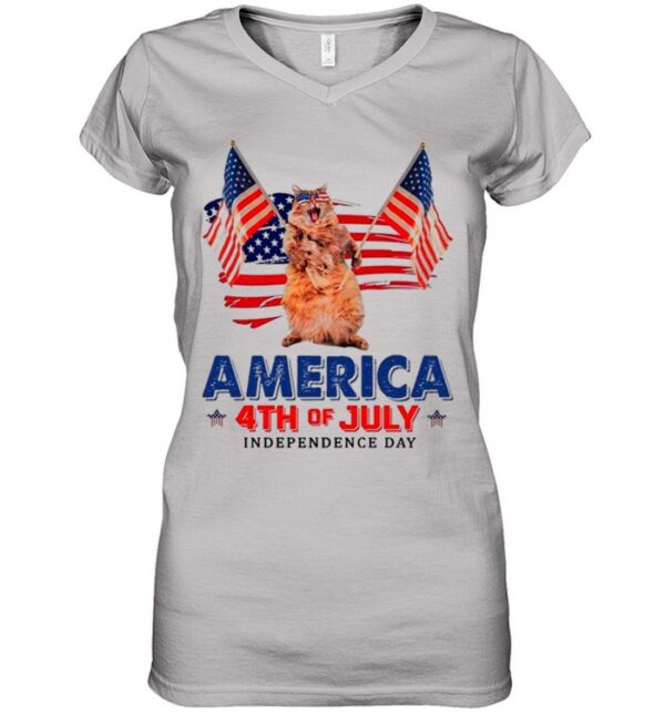 American Flag Cat America 4th Of July Independence Day 2021 hoodie, sweater, longsleeve, shirt v-neck, t-shirt
