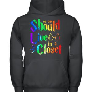 LGBT Harry Potter no one should live in a closet hoodie, sweater, longsleeve, shirt v-neck, t-shirt