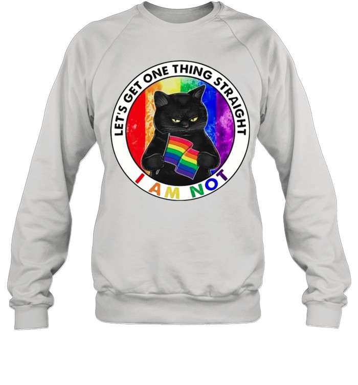 LGBT cat lets get one thing straight I am not shirt 8