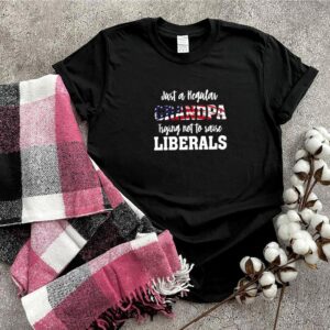 Just a regular grandpa trying not to raise liberals American flag hoodie, sweater, longsleeve, shirt v-neck, t-shirt